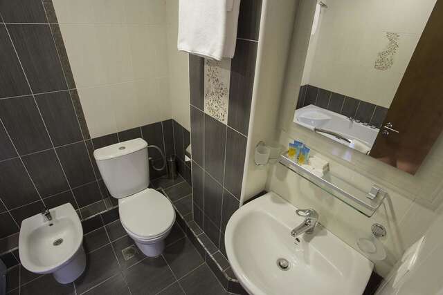 Отель Ani Central Inn Ереван-30