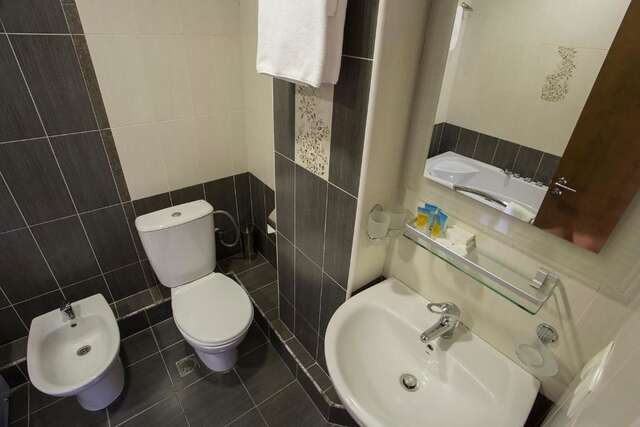 Отель Ani Central Inn Ереван-53
